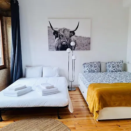 Charming With Garden In * Порту