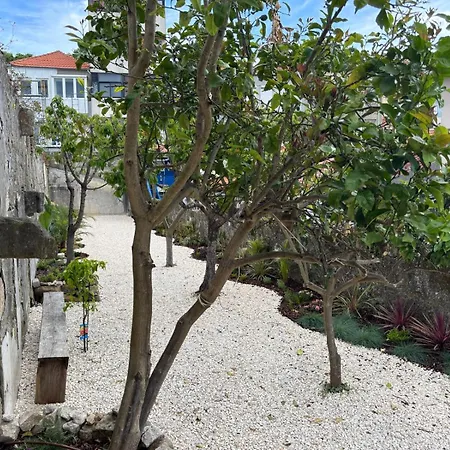 Apartment Charming With Garden In *