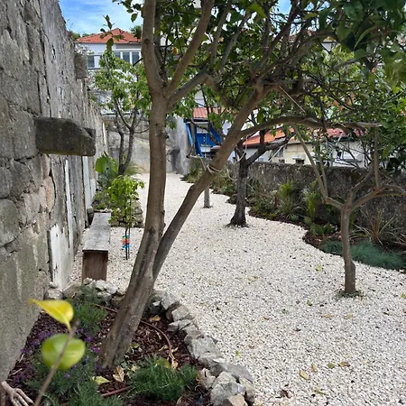 Apartament Charming With Garden In Porto